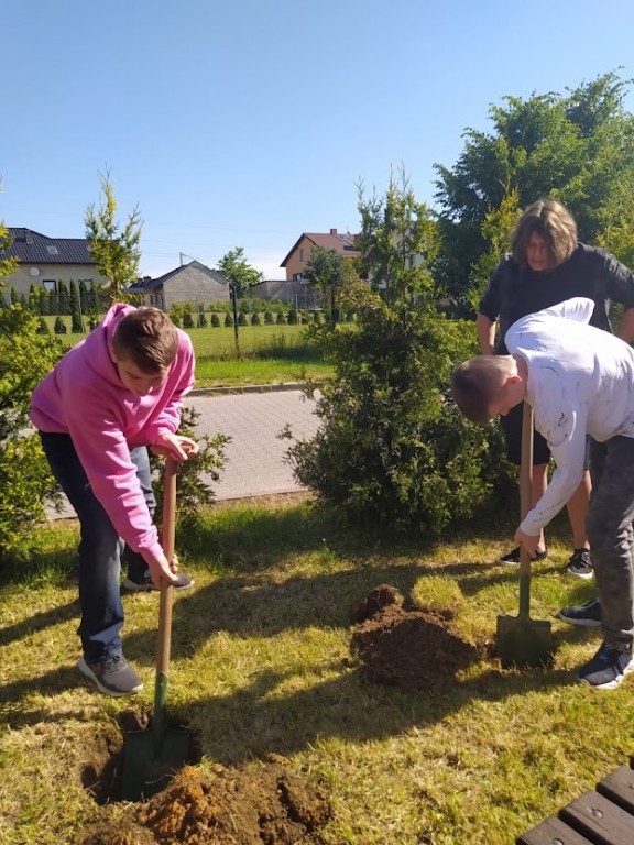 Zdjęcie przedstawia kadr z sadzenia drzewek przez klasę 8a.