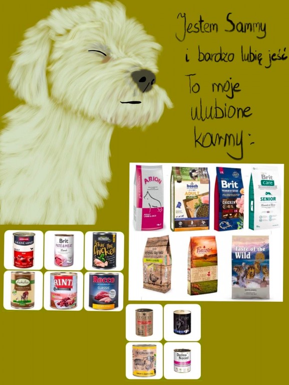 Zdjęcie przedstawia plakat dotyczący zbiórki żywoności dla zwierząt .