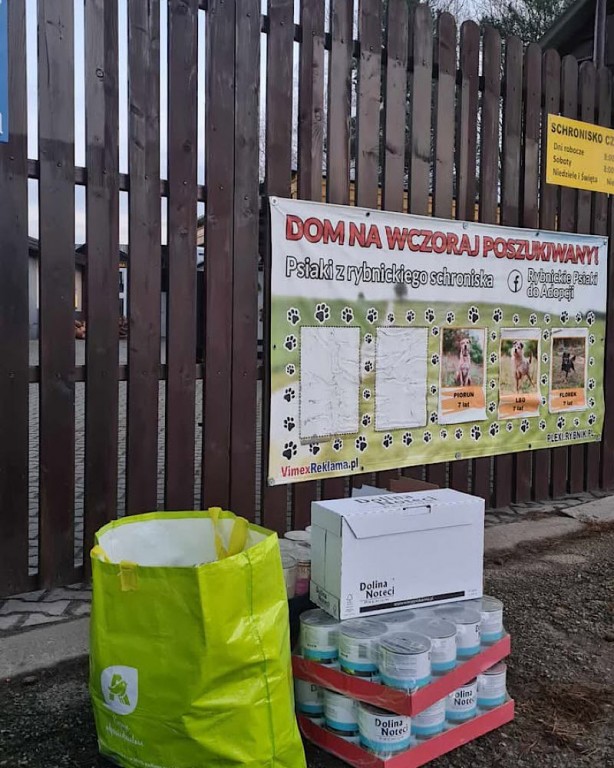 Kadr z akcji wolontariatu-zdjęcie przed schroniskiem w Rybniku.