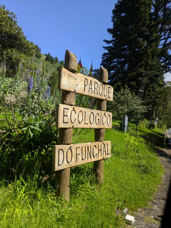 Edukacja dla zrównoważonego życia na portugalskiej wyspie Madera. Kurs Erasmus plus 2025.