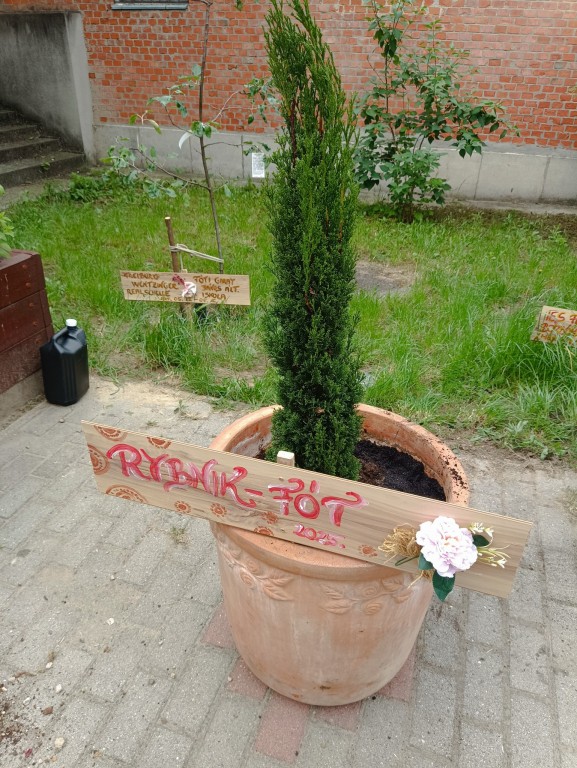 Węgry Erasmus+ 2025. Drzewo przyjaźni polsko-węgierskiej. Rybnik - Fót.