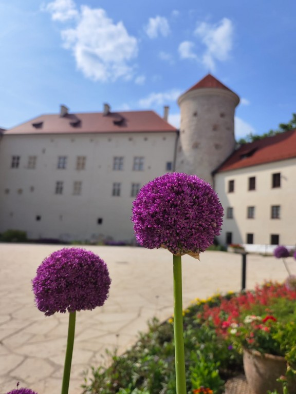 Wycieczka do Ojcowskiego Parku Narodowego