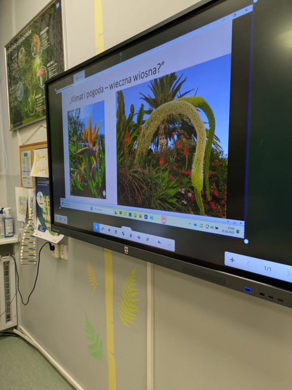 Realizacja innowacji pedagogicznej w ramach koła zainteresowań „Mali Odkrywcy”, do której inspiracją był pobyt nauczycieli na szkoleniu programu Erasmus+ na Maderze. „Madera – Zielona Perła Atlantyku”.