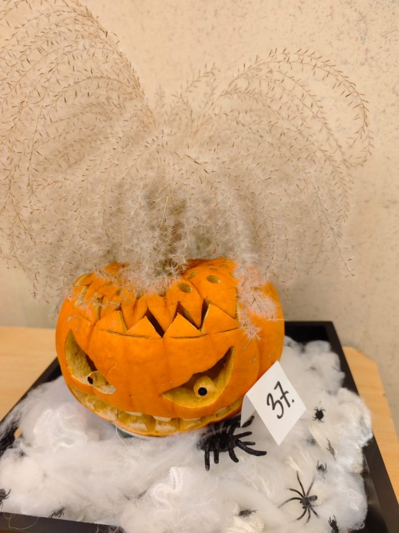Konkurs na lampion z dyni 2025. The Best Pumpkin Lantern 2025. Wystawa prac konkursowych uczniów.