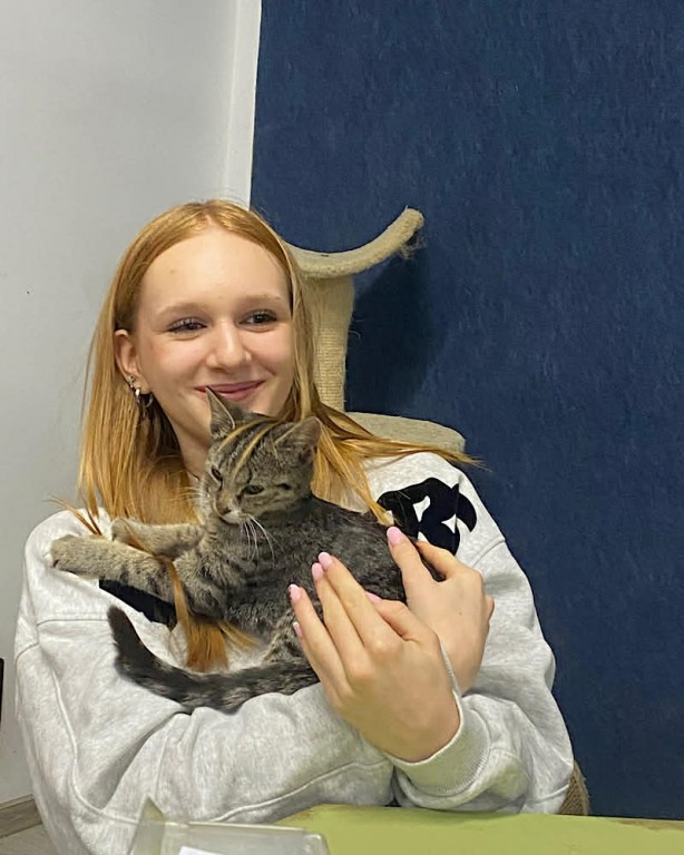 Zdjęcie przedstawia wolontariuszkę Magdę w trakcie zabawy z kotkami w Kocim Domu.