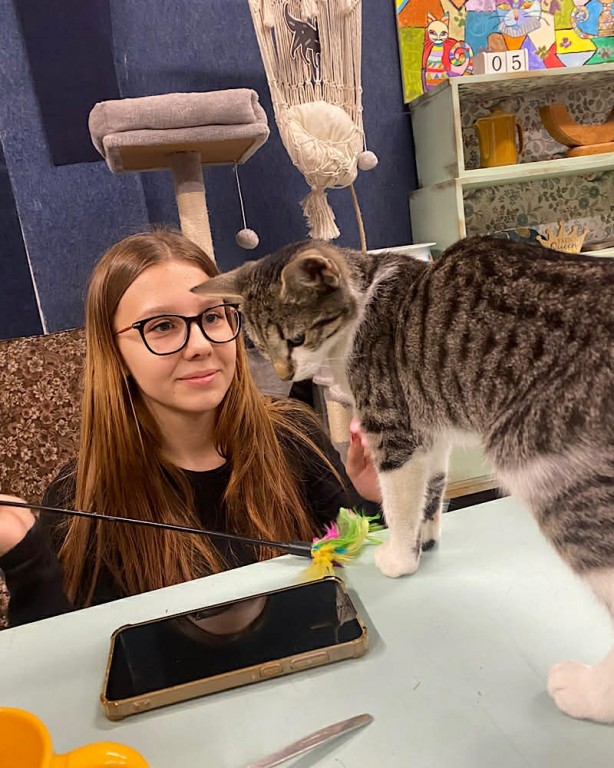 Zdjęcie przedstawia wolontariuszkę Julkę w trakcie zabawy z kotkami w Kocim Domu.