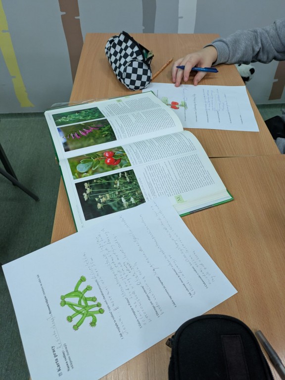 Młodzi Ekolodzy w akcji. Koło Ekologiczne „Młodzi Odkrywcy”.