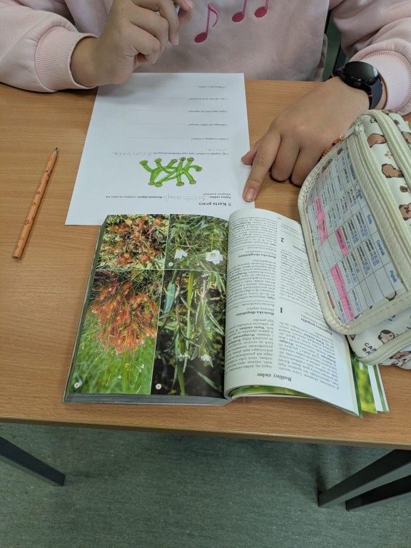 Młodzi Ekolodzy w akcji. Koło Ekologiczne „Młodzi Odkrywcy”.