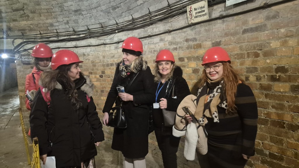 Wizyta ekspertów Erasmus+ - zwiedzanie miasta i regionu.