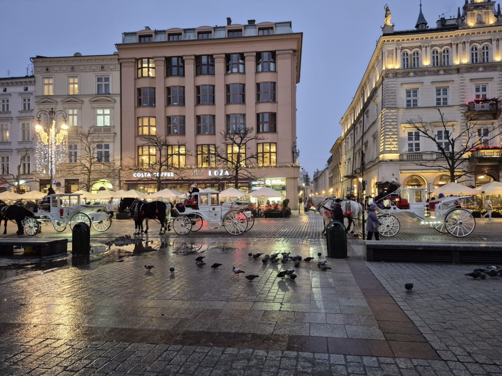 Wizyta ekspertów Erasmus+ - zwiedzanie Krakowa