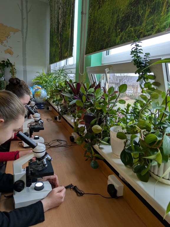 Rybnik oddycha? Czy to już koniec smogu? Szkolna debata uczniów kl. 8 poświęcona jakości powietrza w Rybniku. 