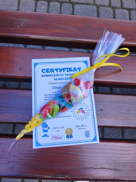 Gra terenowa kl. 4c w parku tematycznym nad Nacyną Misji Tropiciela Słodkości. Certyfikat i słodki upominek.