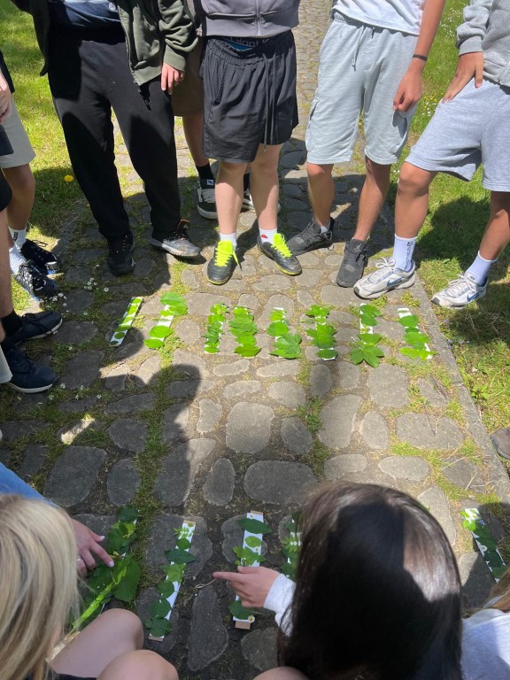 Istebna 2026 – przygoda, integracja i nauka w sercu Beskidów