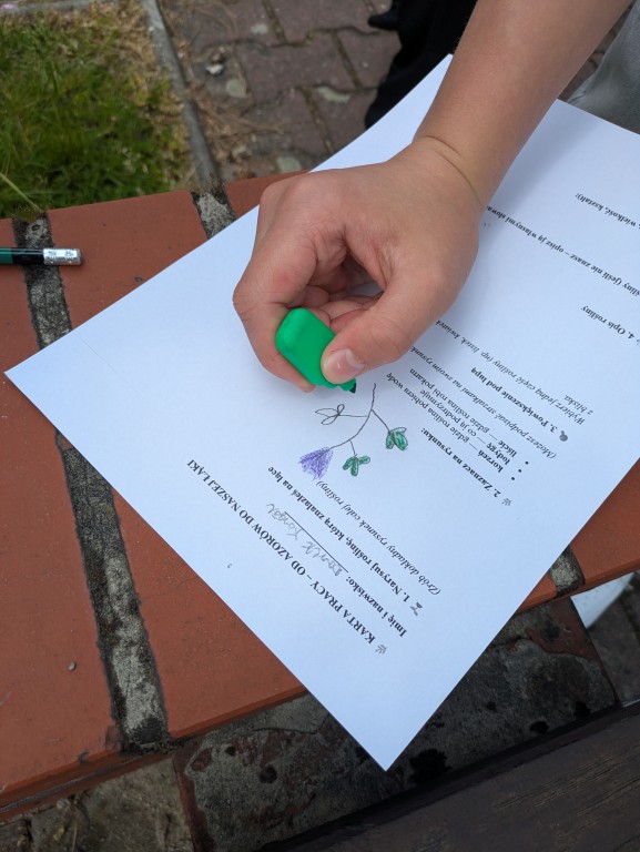 Innowacja pedagogiczna „Od Azorów do naszej łąki” zrealizowana w klasie VI c w ramach programu Erasmus+