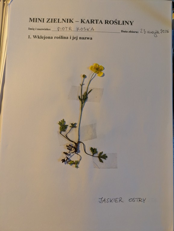 Innowacja pedagogiczna „Od Azorów do naszej łąki” zrealizowana w klasie VI c w ramach programu Erasmus+