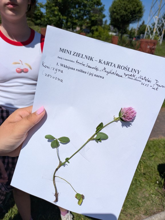 Innowacja pedagogiczna „Od Azorów do naszej łąki” zrealizowana w klasie VI c w ramach programu Erasmus+