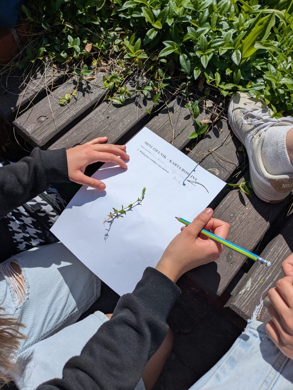 Innowacja pedagogiczna „Od Azorów do naszej łąki” zrealizowana w klasie VI c w ramach programu Erasmus+