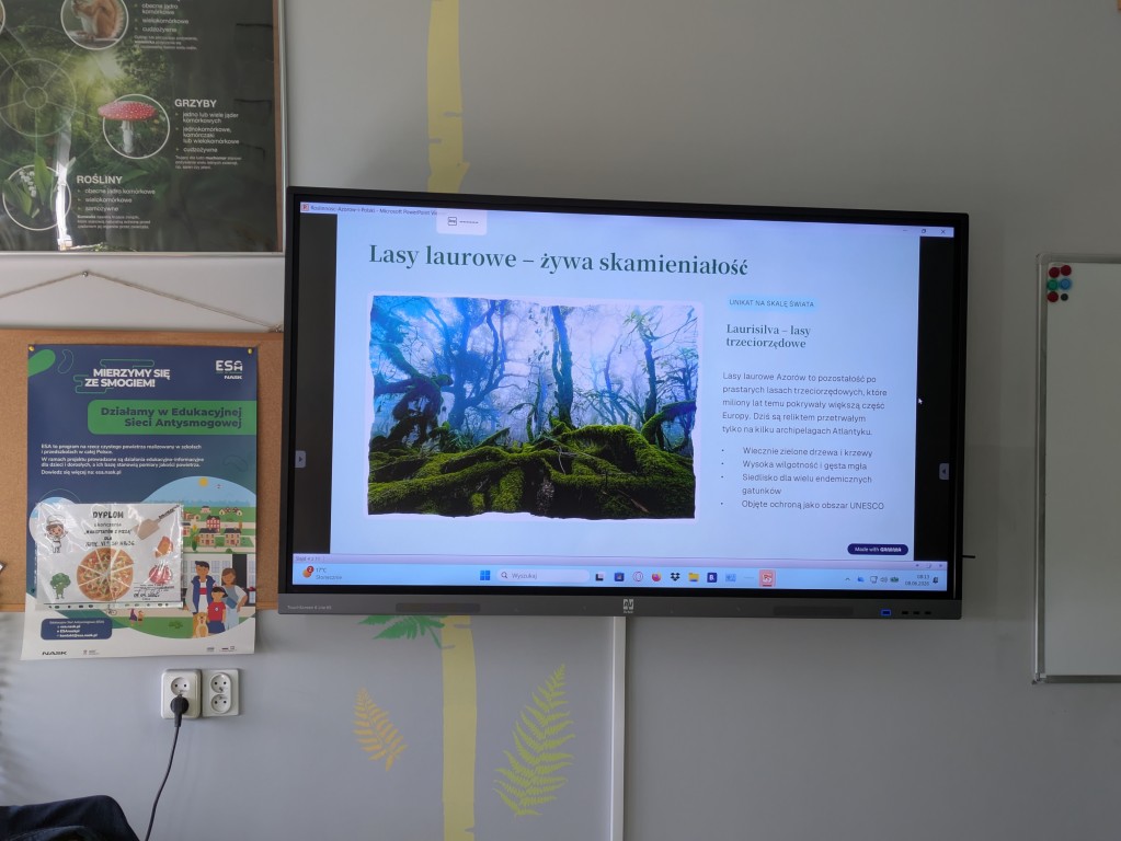 Innowacja pedagogiczna „Od Azorów do naszej łąki” zrealizowana w klasie VI c w ramach programu Erasmus+