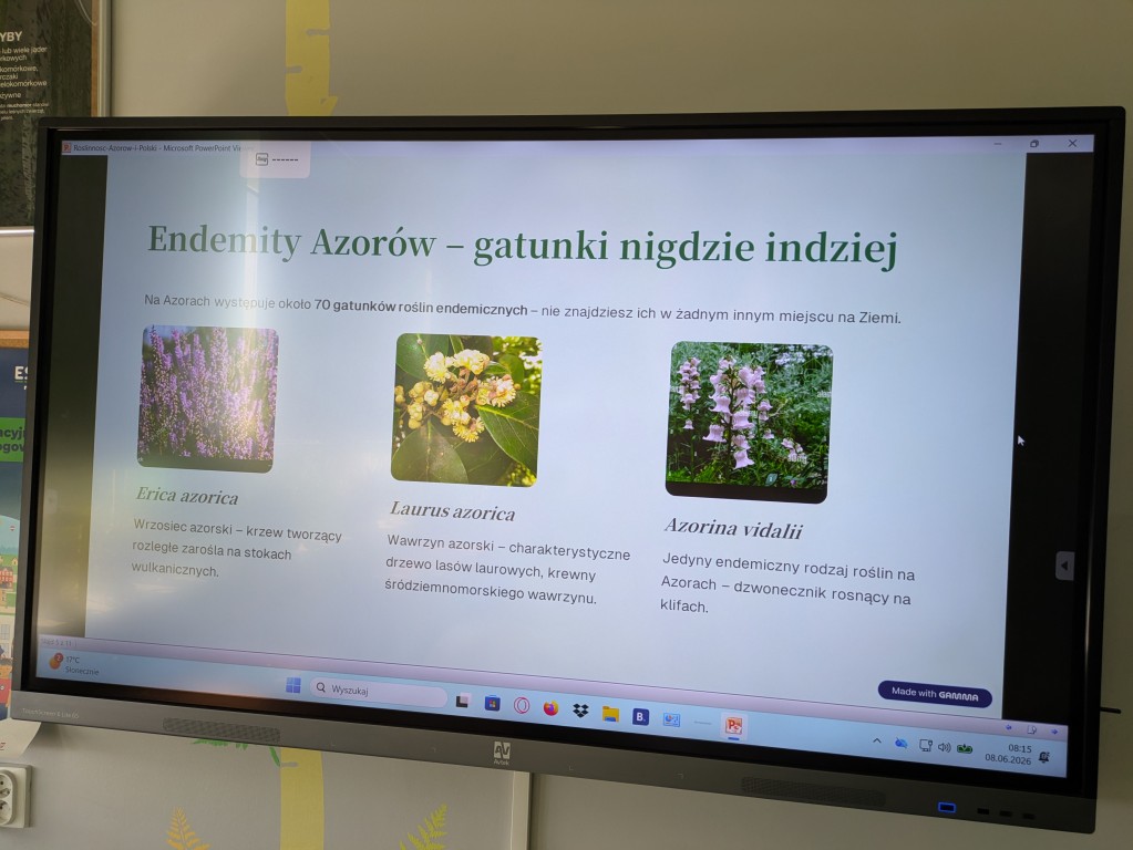 Innowacja pedagogiczna „Od Azorów do naszej łąki” zrealizowana w klasie VI c w ramach programu Erasmus+