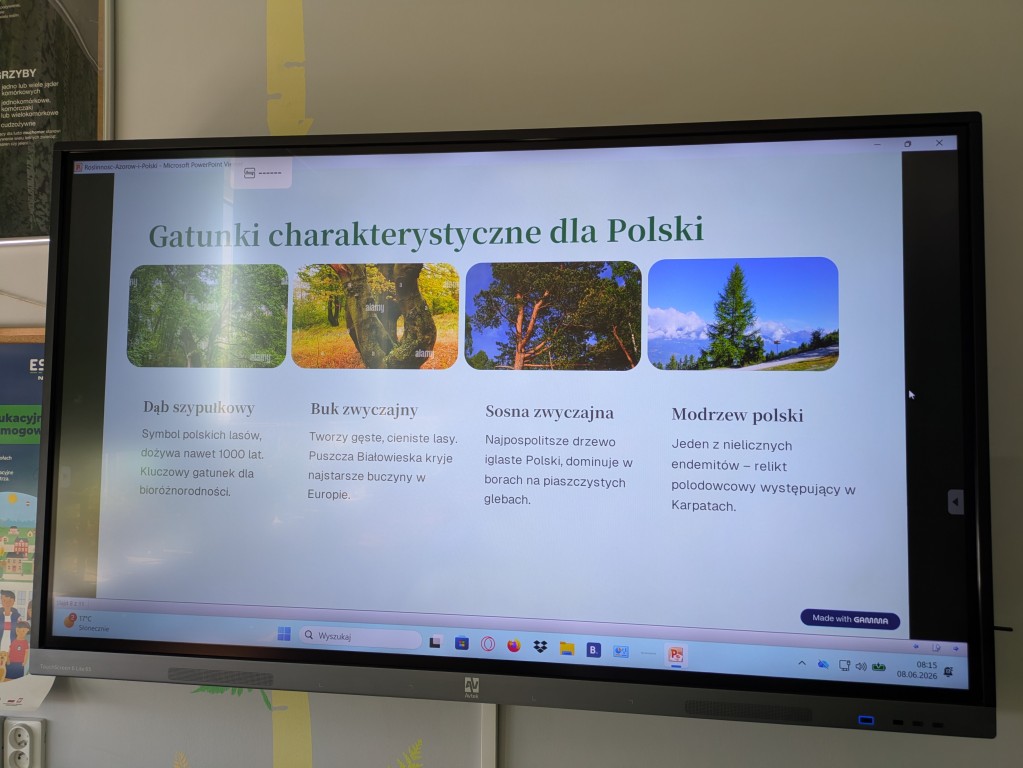 Innowacja pedagogiczna „Od Azorów do naszej łąki” zrealizowana w klasie VI c w ramach programu Erasmus+