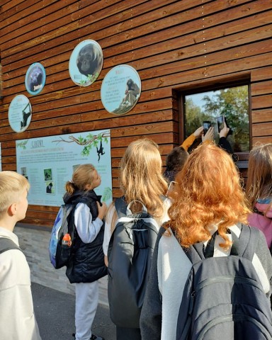 Kadr z wycieczki do ZOO w Chorzowie klasy 5c.