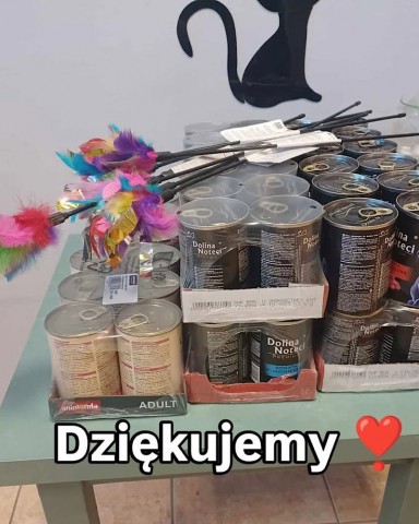 Kadr z akcji :"Zbierz pluszaka dla zwierzaka"